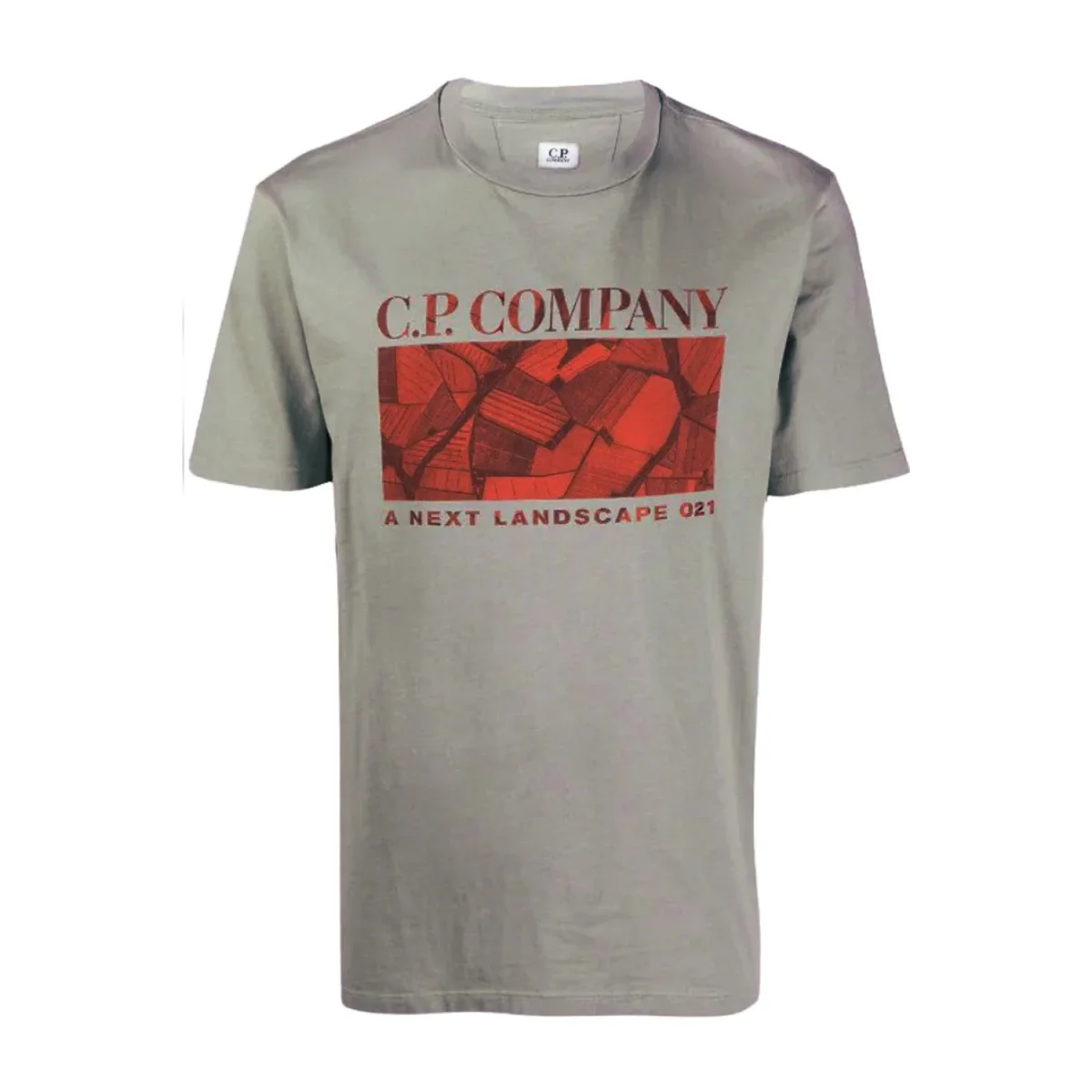 T-SHIRT UOMO JERSEY LOGO IN COTONE GARGOYLE - 10CMTS305A005621W 938