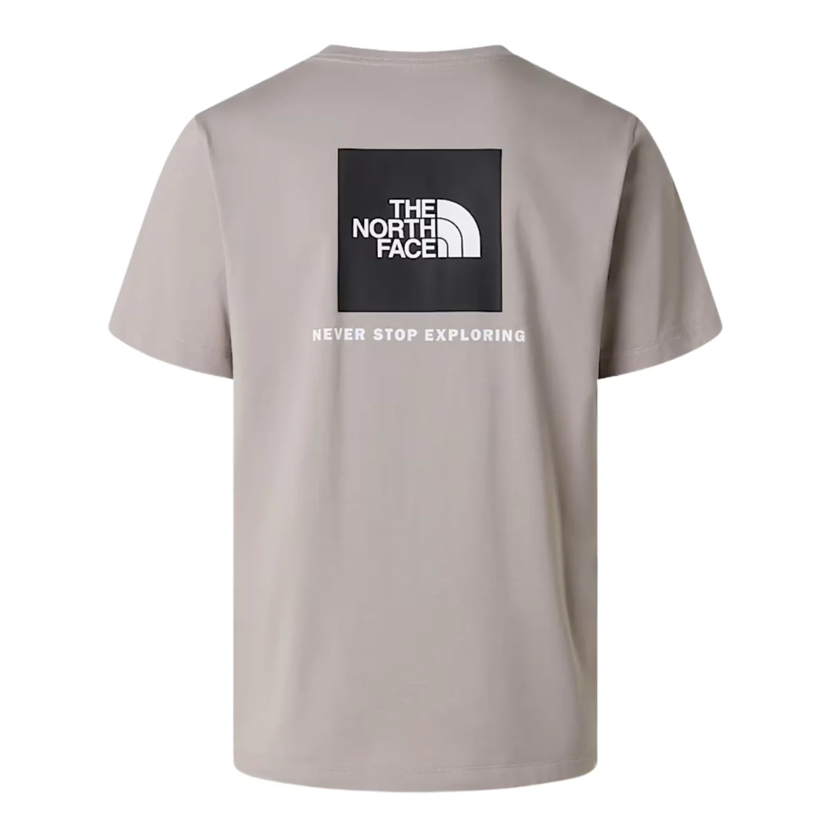 The North Face T-Shirt Evolution Half Dome Uomo Misto Cotone Beige Stone Slab