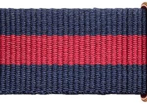 Daniel Wellington cinturino NATO Classic Oxford 20 Oro Rosa uomo 40 mm