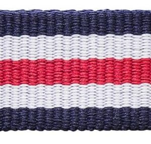 Daniel Wellington Classic Glasgow Cinturino Nato Ladies Canterbury Rose White Blue