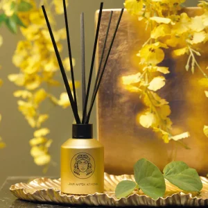 DIVINE - Diffusore per ambienti