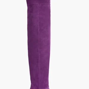 Stivali cuissard Lara Park camoscio viola