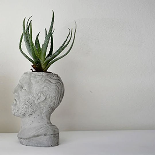 HACKED Ippocrate - immagine 7