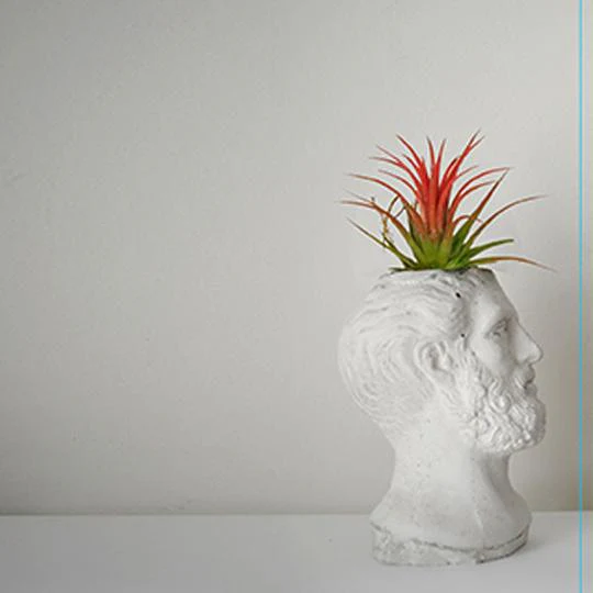 HACKED Ippocrate - immagine 8