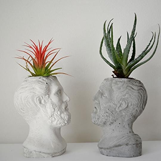 HACKED Ippocrate - immagine 6