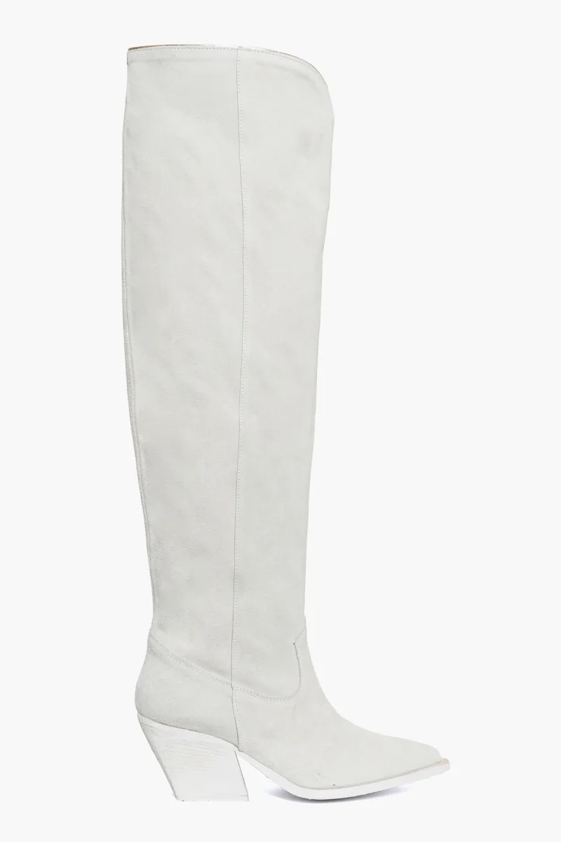 Stivali Irene 55 camoscio ghiaccio