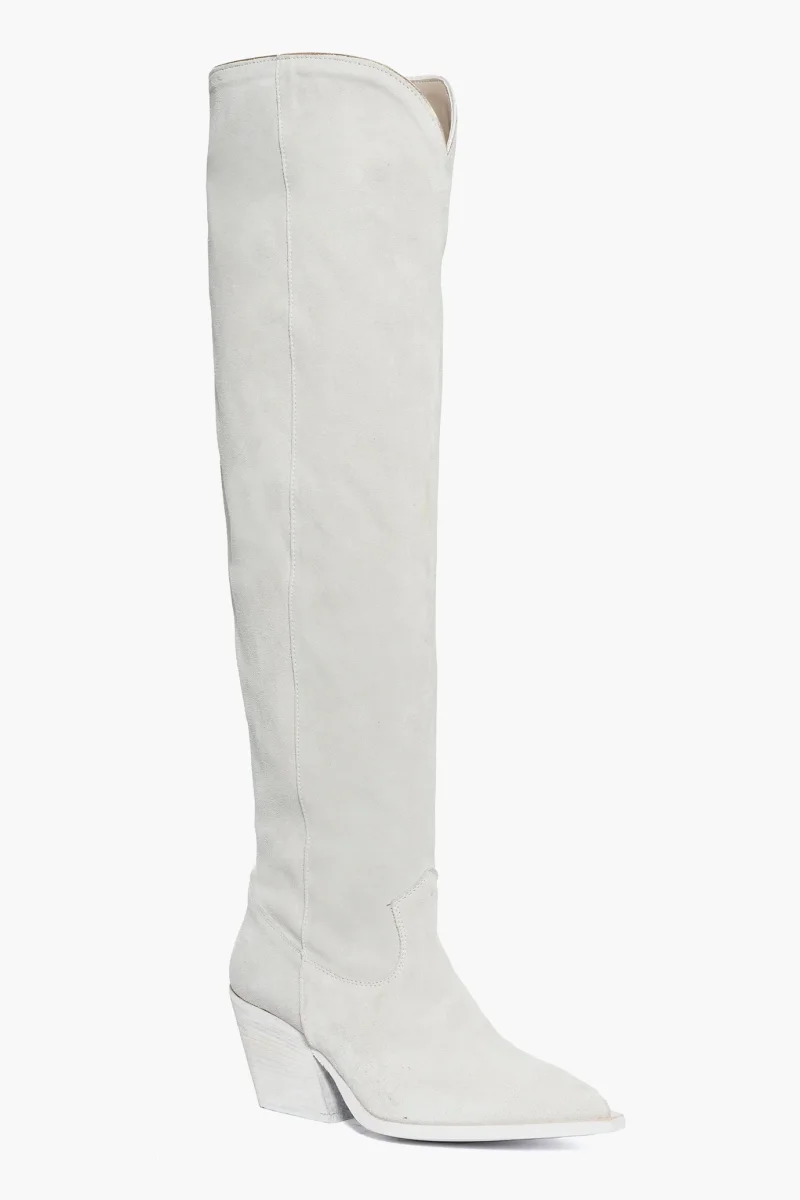 Stivali Irene 55 camoscio ghiaccio - immagine 3