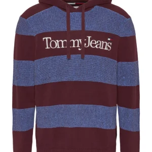 Tommy Jeans Felpa con Cappuccio Logo Skater Bio Cotone Viola