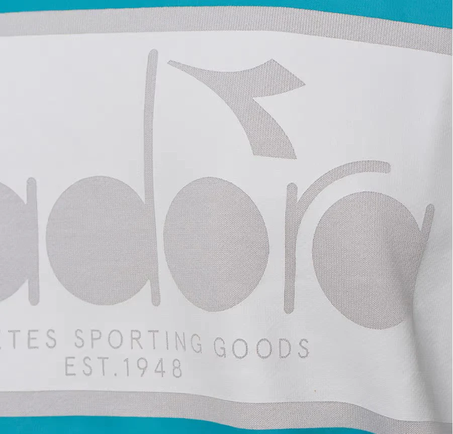 Diadora Felpa Crew Spectra Cotone Grigio - immagine 5