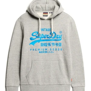 Superdry Felpa Uomo Neon VL Graphic Hoodie in misto Cotone Grigio